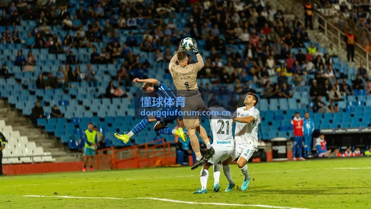 懂球体育职业球员体能训练周期安排